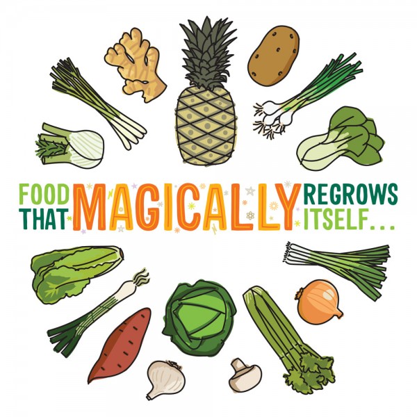 Food-That-Magically-Regrows-Itself-1000x1000-600x600.jpg