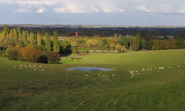 Sheep_in_Campbell_Park_-_geograph.org.uk_-_5151.jpg